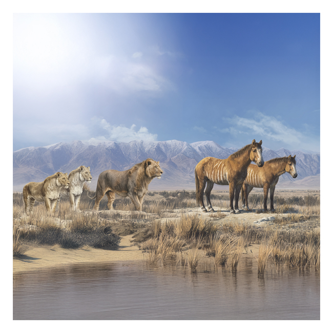 00101451 (Canvas Print 8"x10"   [Min:2, Mult:2])