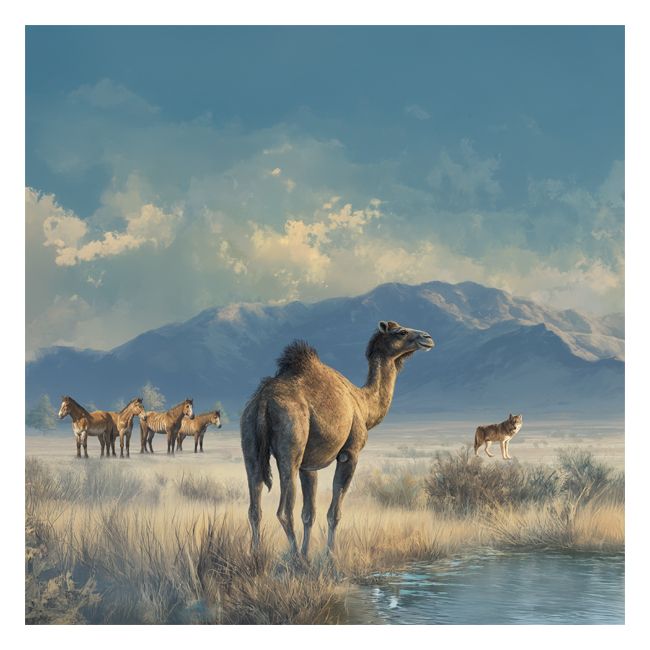 00101452 (Canvas Print 8"x10"   [Min:2, Mult:2])