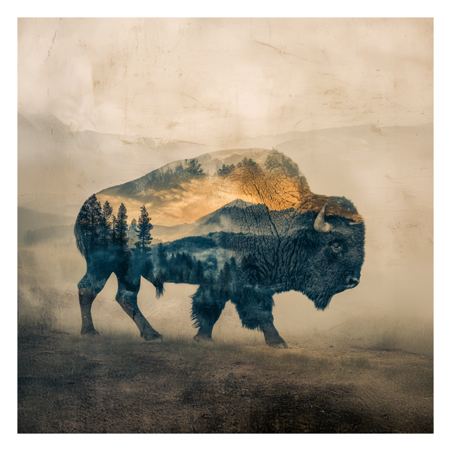 00101454 (Canvas Print 8"x10"   [Min:2, Mult:2])