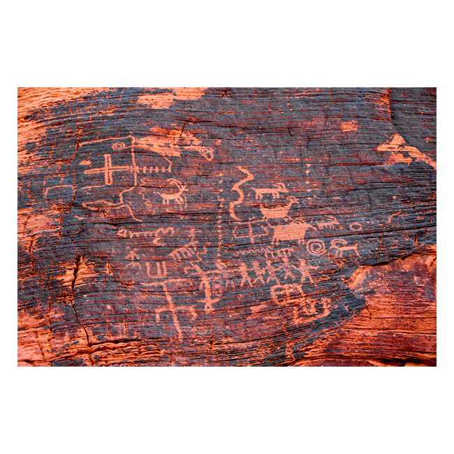 00101581 (Canvas Print 8"x10"   [Min:2, Mult:2])