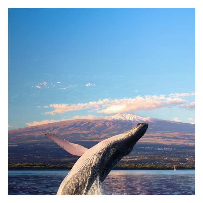 00101594 (Canvas Print 8"x10"   [Min:2, Mult:2])