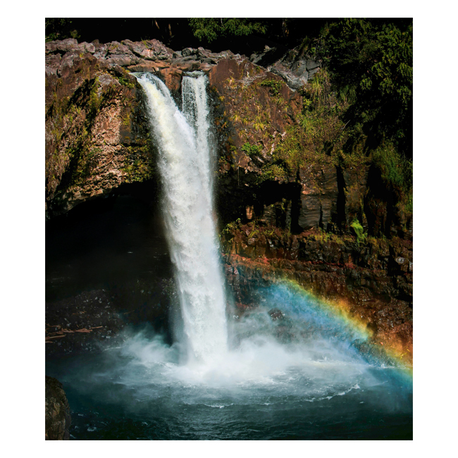 00101595 (Canvas Print 8"x10"   [Min:2, Mult:2])