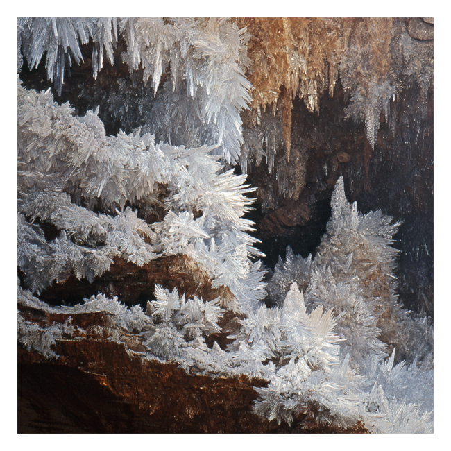 00101460 (Canvas Print 8"x10"   [Min:2, Mult:2])