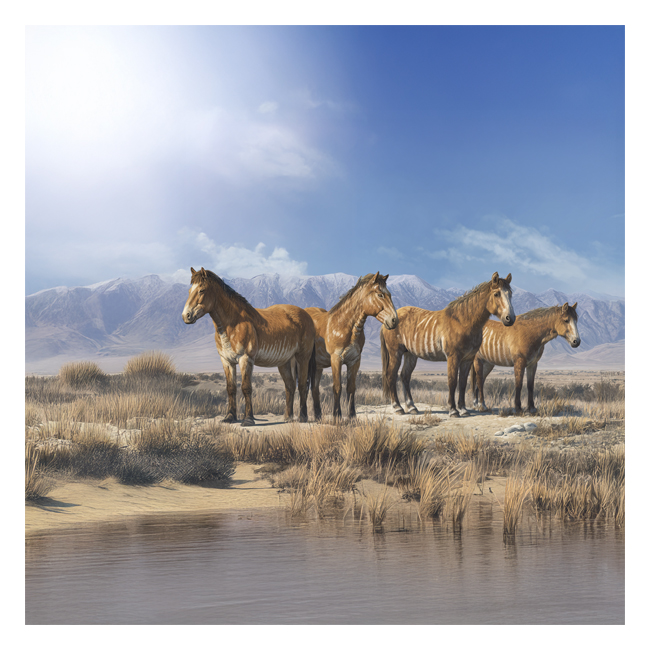 00101464 (Canvas Print 8"x10"   [Min:2, Mult:2])