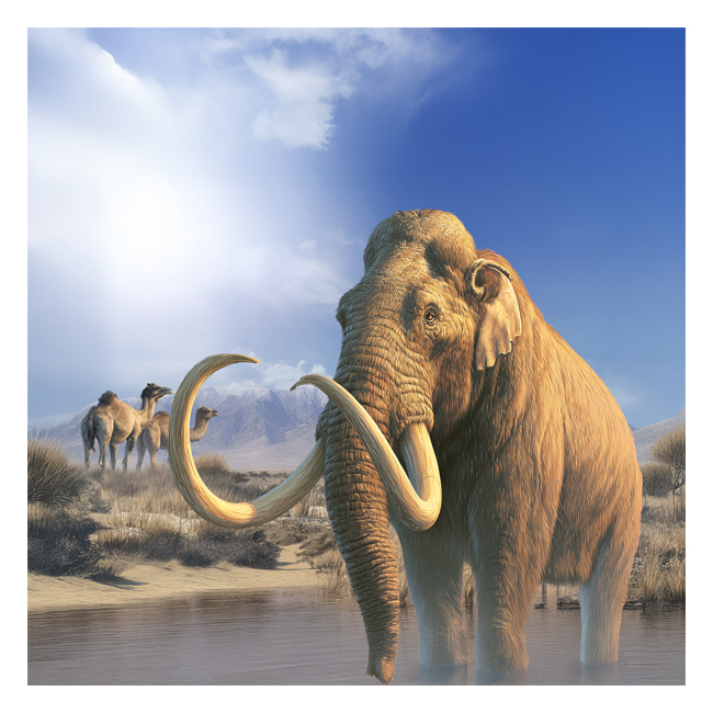 00101465 (Canvas Print 8"x10"   [Min:2, Mult:2])