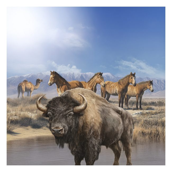 00101467 (Canvas Print 8"x10"   [Min:2, Mult:2])