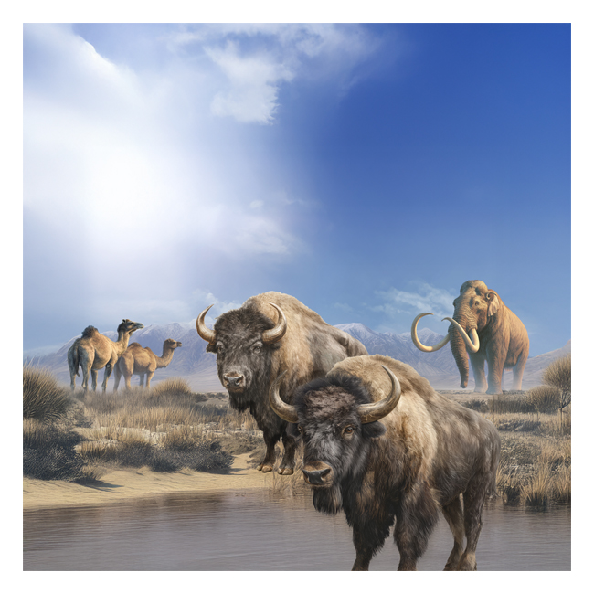 00101468 (Canvas Print 8"x10"   [Min:2, Mult:2])