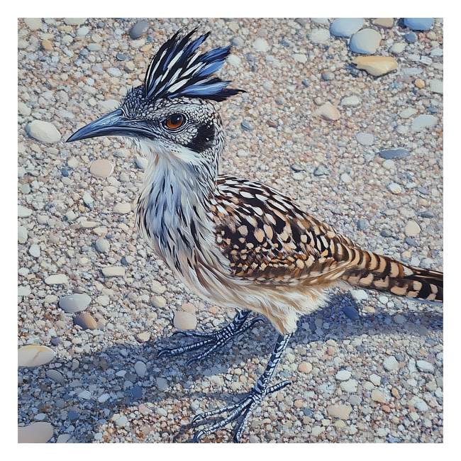 00101384 (Canvas Print 8"x10"   [Min:2, Mult:2])