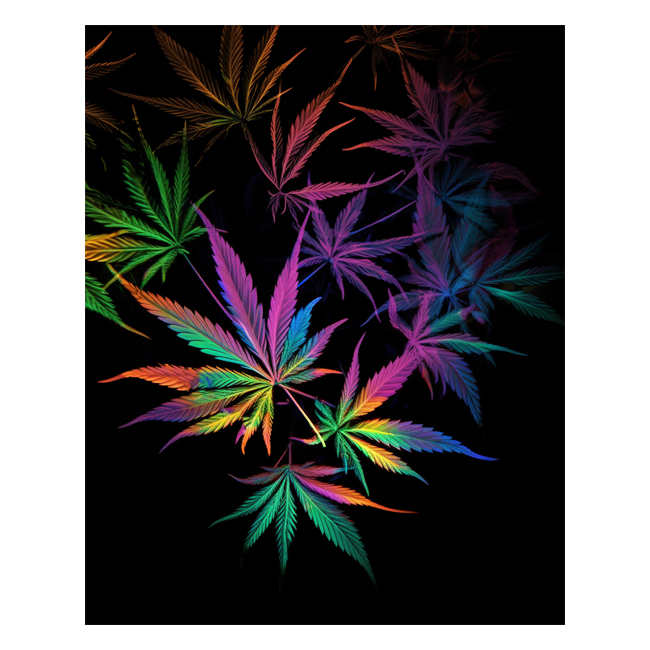 00100769 (Canvas Print 8"x10"   [Min:2, Mult:2])